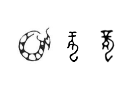咬文嚼字 |“龙”，你到底是什么？