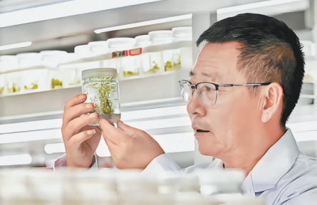 张应龙：扎根沙漠的“种树人”