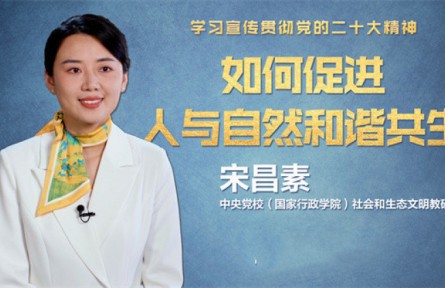 如何促进人与自然和谐共生