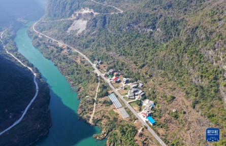 在大山种地的“85后”黄启林
