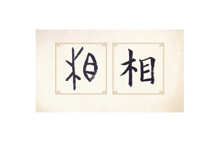 《一起认识甲骨文》系列视频