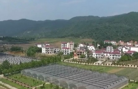 【权威部门话开局】2023年全面推进乡村振兴重点工作明确