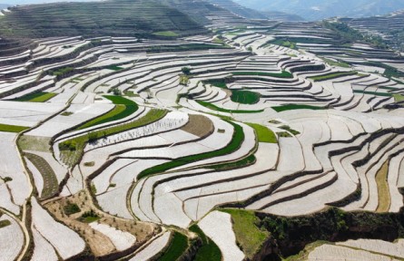 粮稳天下安：中国全方位夯实粮食安全根基