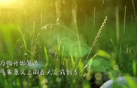 雨水：迎一场春雨 等一片花开