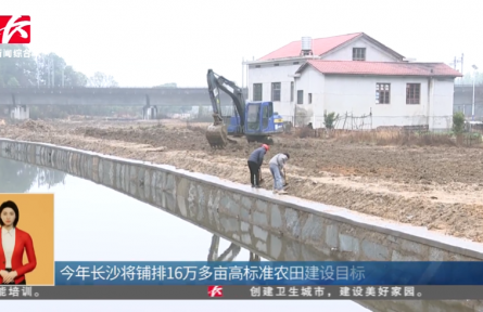 湖南长沙这样端稳端牢“中国饭碗”