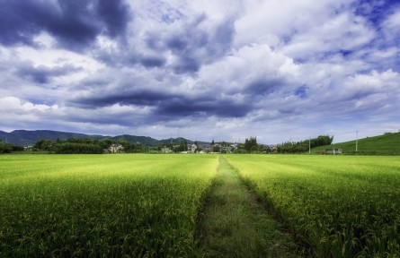 黑土地保护和盐碱地综合利用的吉林实践