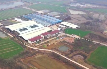 【团结奋斗 忠诚履职】张莉：畜牧业高质量发展助推乡村振兴
