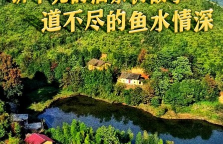 十年两会·温暖记忆｜“讲不完的油茶树故事，道不尽的鱼水情深”