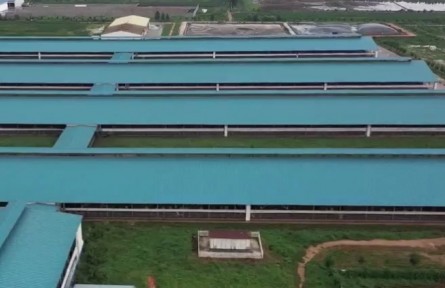 山东：加快关键技术攻关 确保畜禽核心种源自主可控