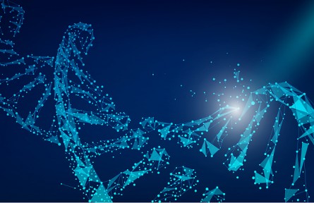 科技名词 | 遗传印记  genetic imprinting