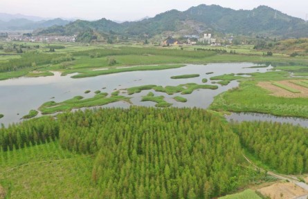 浙江杭州：面向共同富裕的乡村规划实践