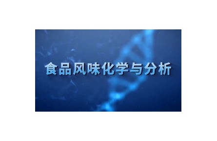 《食品风味化学与分析》课程系列视频