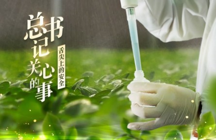 总书记关心的事｜舌尖上的安全