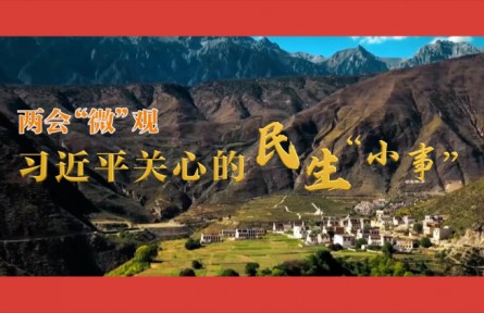 习近平关心的民生“小事”