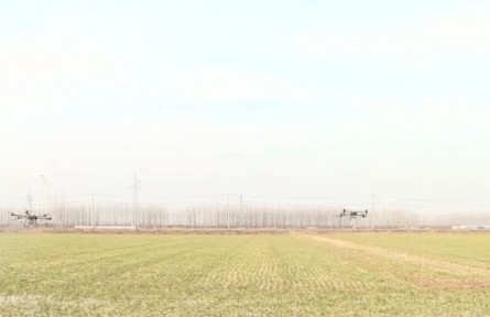 江苏邳州：科技助力春管 61.5万亩大蒜进入返青期