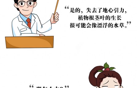 上天入地，没有什么能阻止中国人种菜的脚步！