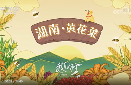 《我们村》第1集-湖南 · 黄花菜 / 贵州 · 洋芋