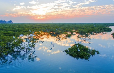 广西：生物多样性保护的“系统解决方案”