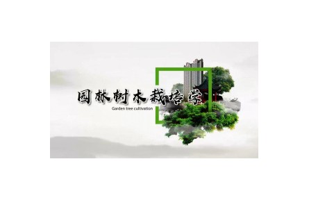 《园林树木栽培学》课程系列视频