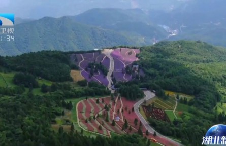 湖北：春和景明万物生 植树造林添新绿