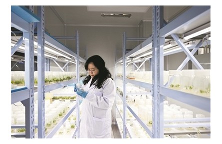 厚植沃土，为创新发展注入人才动力