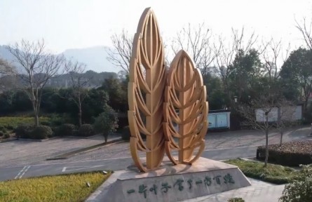 跨越千里 “黄金叶”结出“致富果”