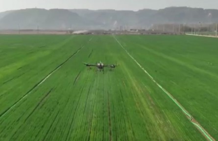 8500万亩小麦进入返青起身期 河南各地运用科技助力春管