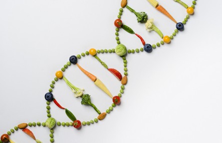 科技名词 | 转录组学  transcriptomics