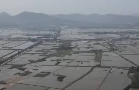 广东：1300多万亩早稻开始插秧