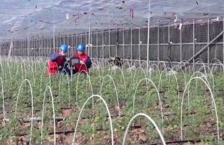 吉林省有序推进备春耕生产