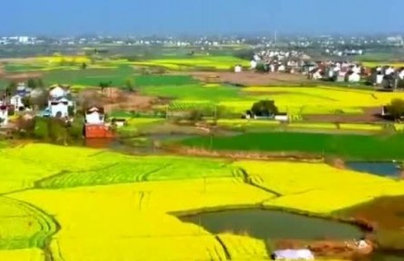 安徽：稳面积 攻单产 各地春耕备耕有序推进
