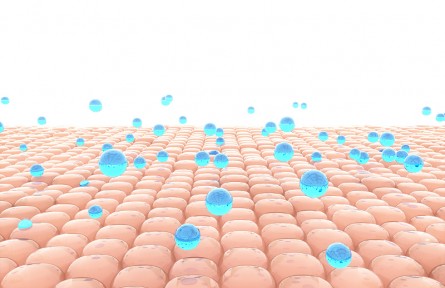 科技名词 | 皮肤老化 skin aging，cutaneous aging