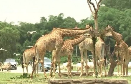 2022年度中国古生物学十大进展发布