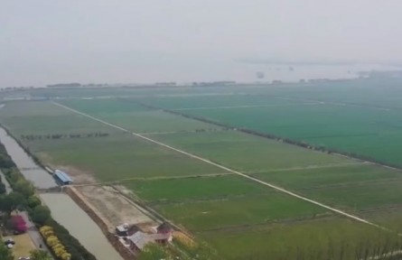 江苏淮安：让春耕更绿色 建立废旧农膜回收体系 “变废为宝”