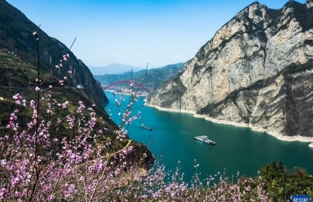 湖北秭归：花美果丰乡村美
