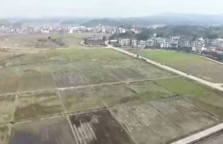 江西：数字化赋能 高标准农田有了“智慧守护人”