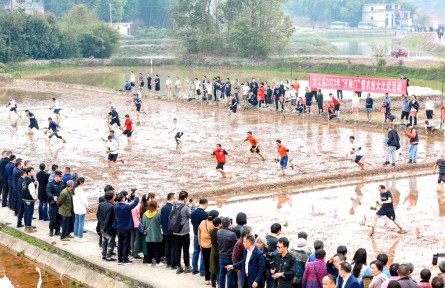 四川合江：“开秧门”拉开水稻移栽序幕