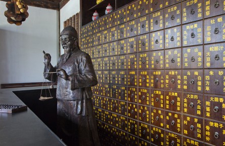 科技名词 | 金匮要略 Jingui Yaolüe，Synopsis of Golden Chamber
