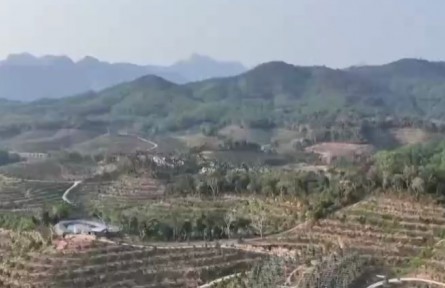 海南：瓜果飘香 做强热带特色高效农业