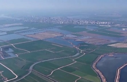 【新思想引领新征程】夯基固本 加快建设农业强国