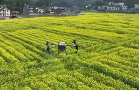 春耕备耕：农资保供跟得上 供应量足价稳