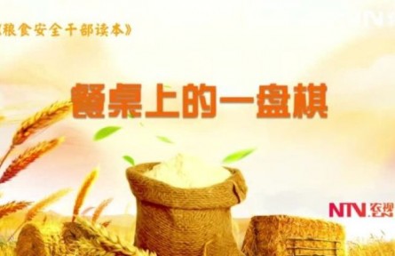 《餐桌上的一盘棋》