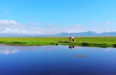 【新思想引领新征程】加强生态保护修复 厚植美丽中国根基