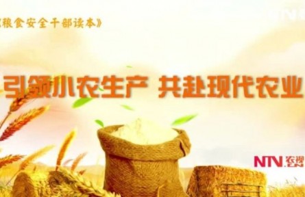 《引领小农生产 共赴现代农业》