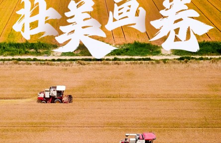 打造乡村振兴齐鲁样板 山东绘就农业高质量发展壮美画卷