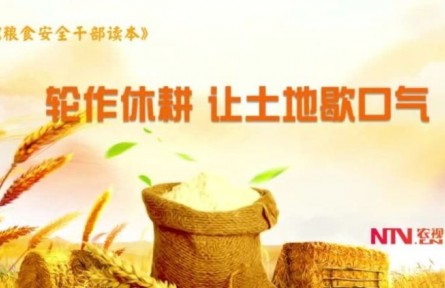 《轮作休耕 让土地歇口气》