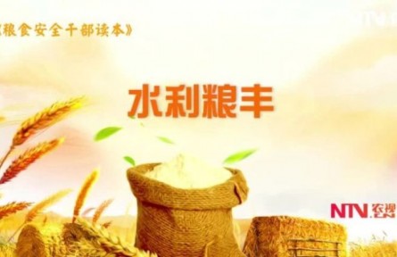 《水利粮丰》