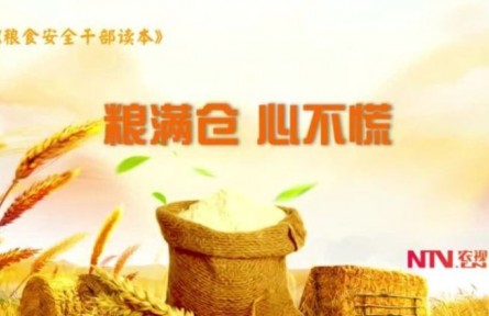 《粮满仓 心不慌》