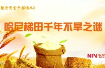 《哈尼梯田千年不旱之谜》