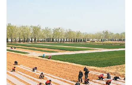 家庭农场能办“身份证”了
